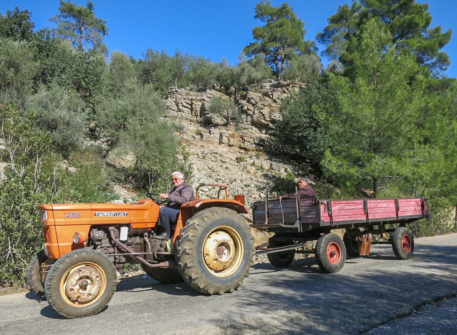 Römork çeken turuncu Türk Fiat 480 traktör, yan yolda